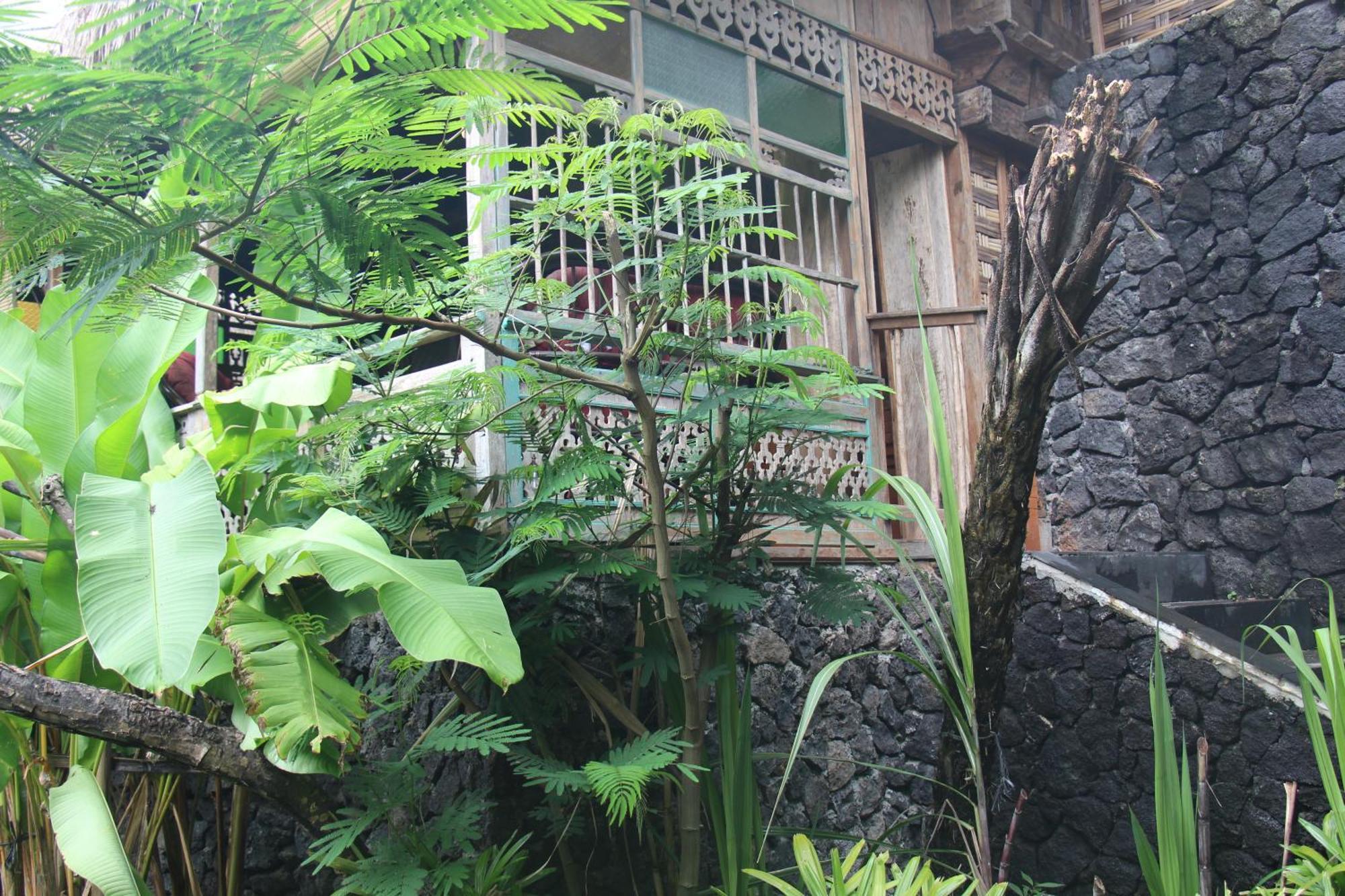 Geopark Village Kintamani  Bagian luar foto